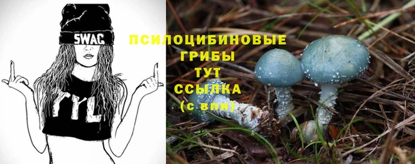 mdpv Алексин