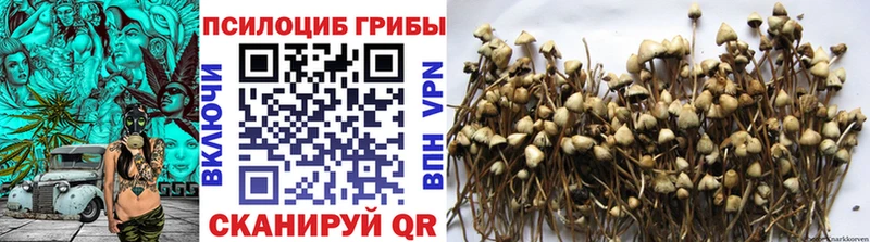 MEGA ссылки  даркнет сайт  Лобня  Галлюциногенные грибы Psilocybine cubensis 